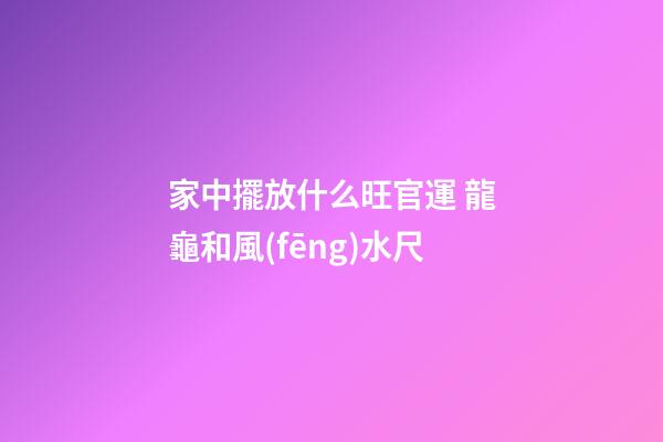 家中擺放什么旺官運 龍龜和風(fēng)水尺